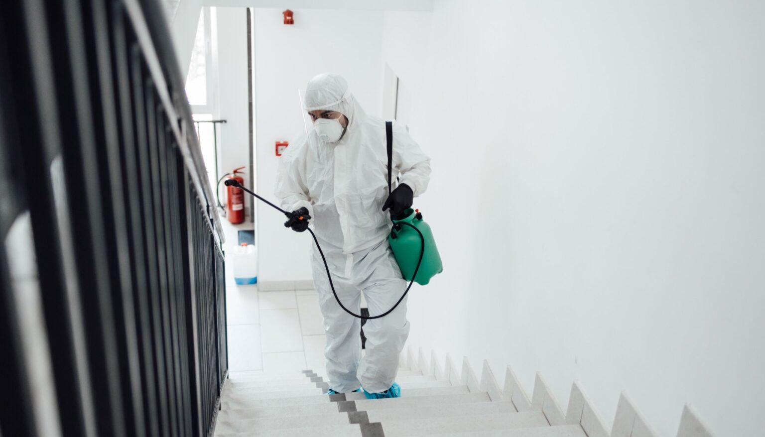 Image showcasing Eco-Friendly Disinfection in Restoration: Why It Matters