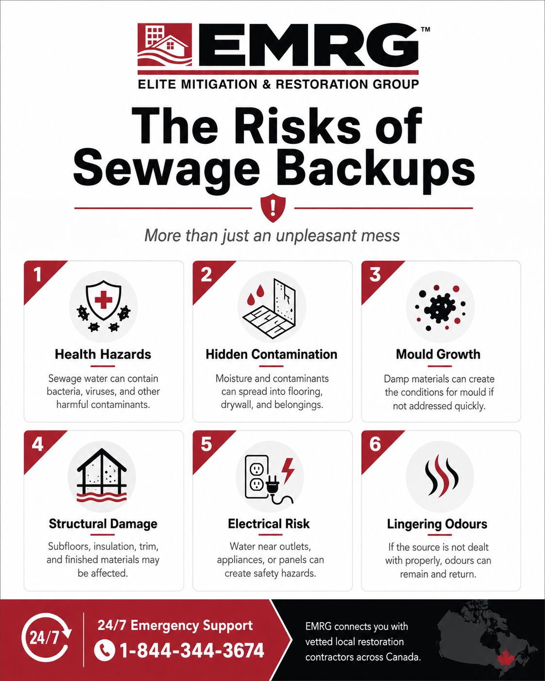 Infographic for sewage backup risks by EMRG